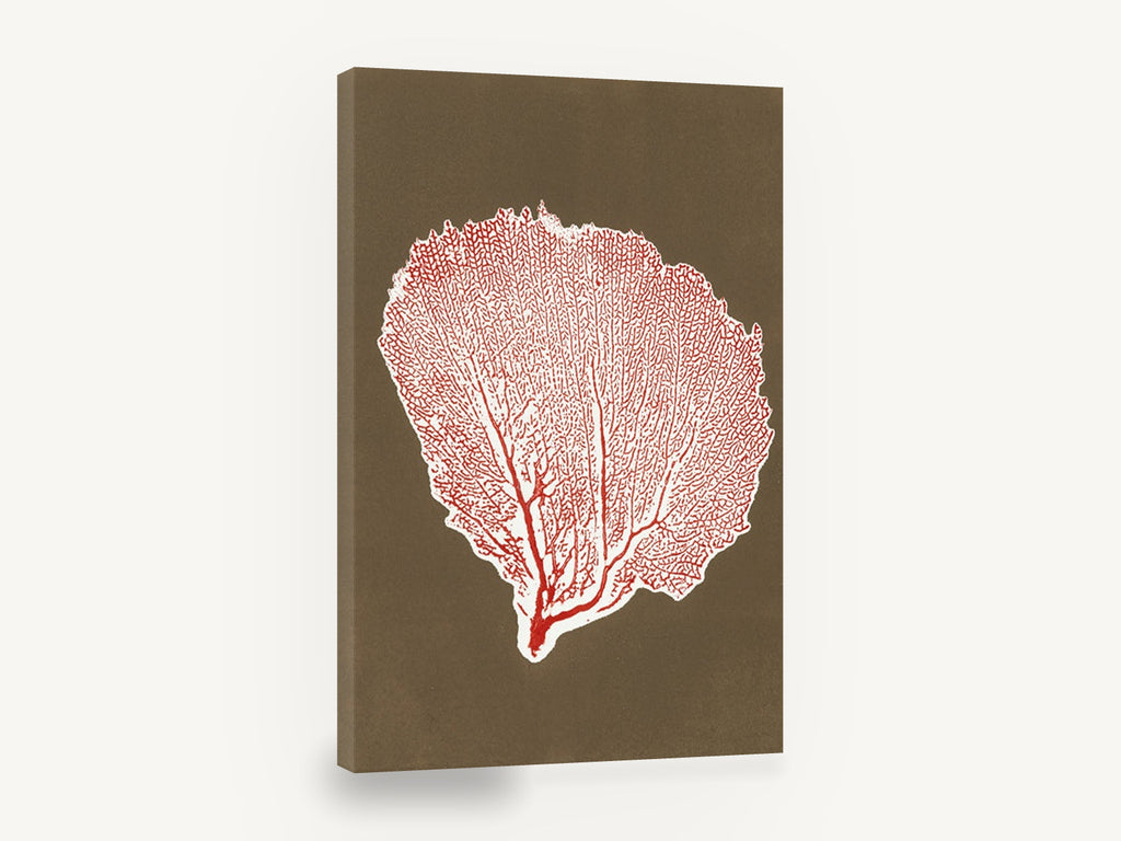 Red Sea Fan Silhouette, red sea fan coral illustration, coastal canvas wall art print ready to hang