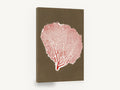 Red Sea Fan Silhouette, red sea fan coral illustration, coastal canvas wall art print ready to hang