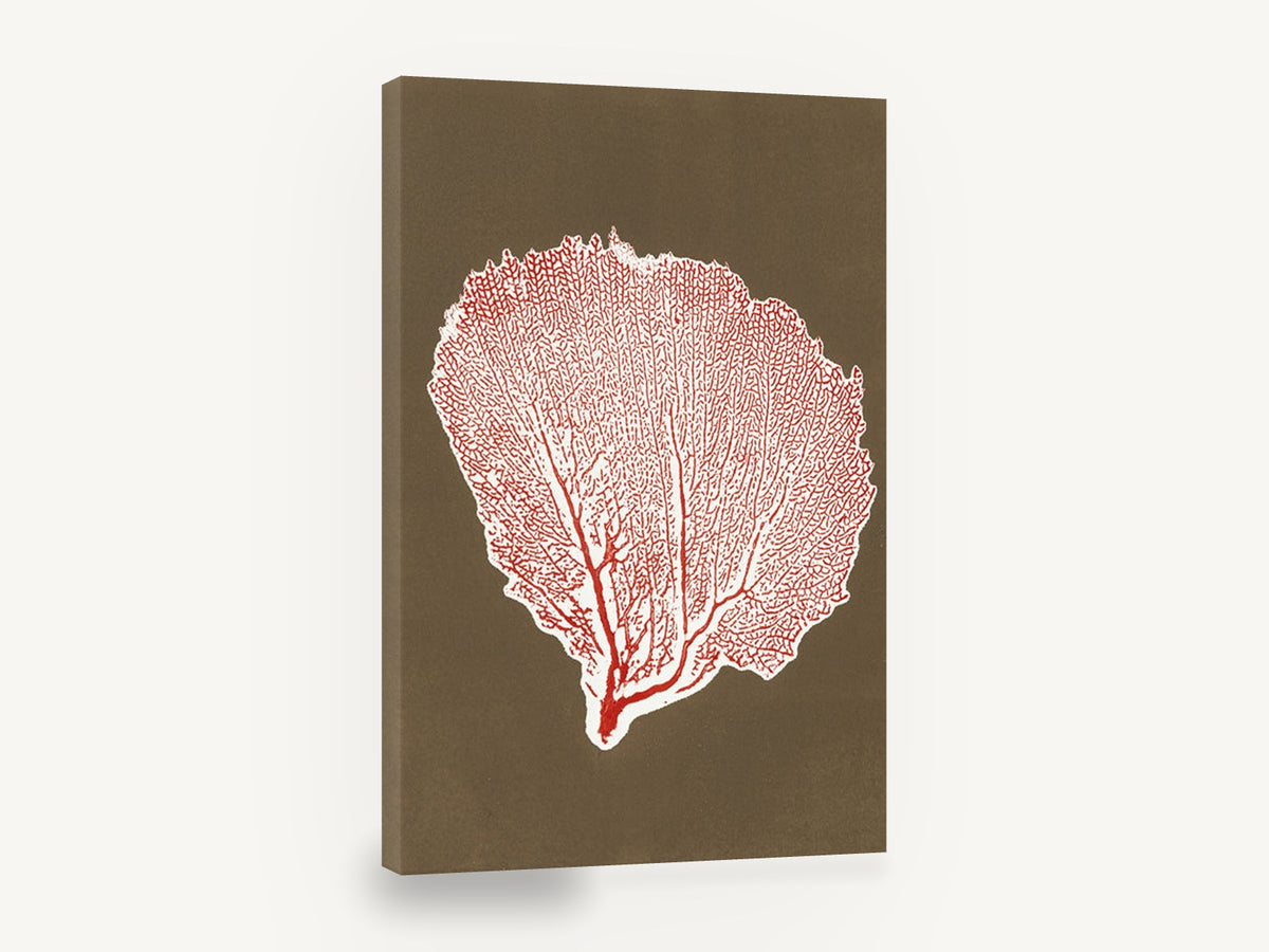 Red Sea Fan Silhouette, red sea fan coral illustration, coastal canvas wall art print ready to hang