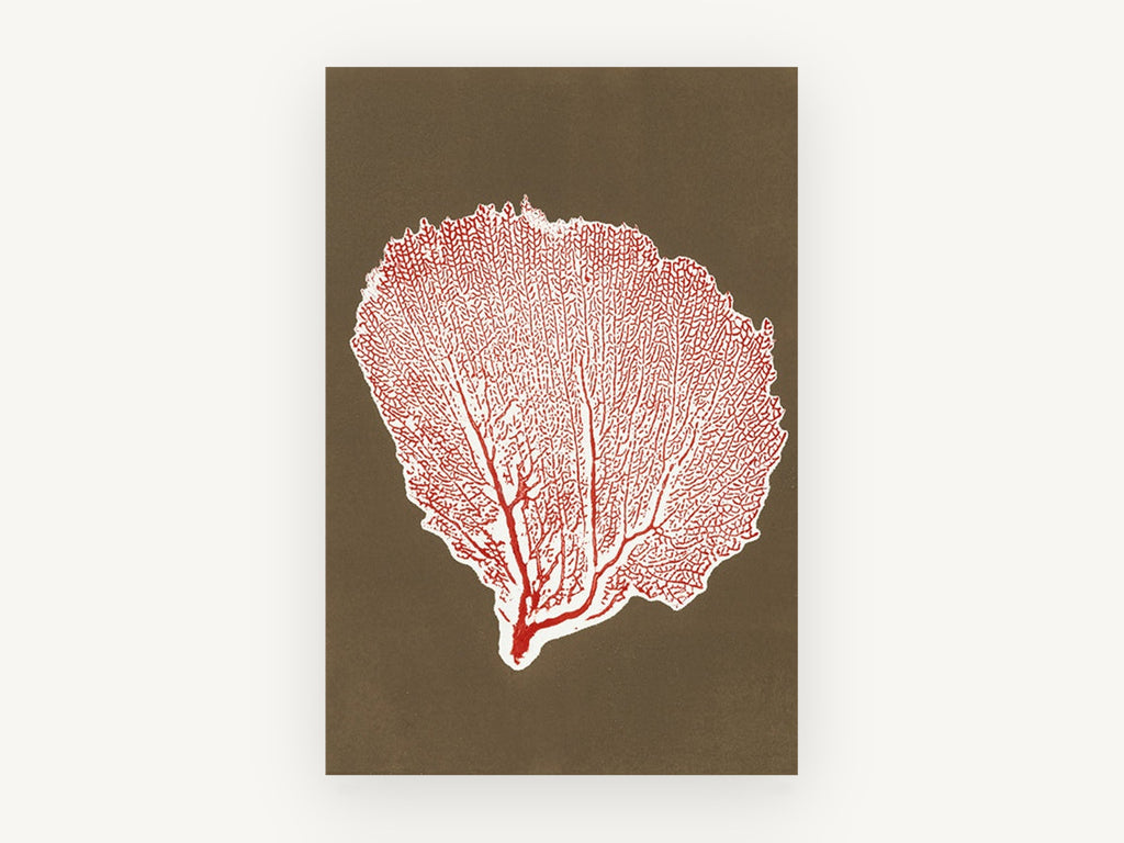 Red Sea Fan Silhouette, coastal canvas wall art print, front view