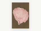 Red Sea Fan Silhouette, coastal canvas wall art print, front view