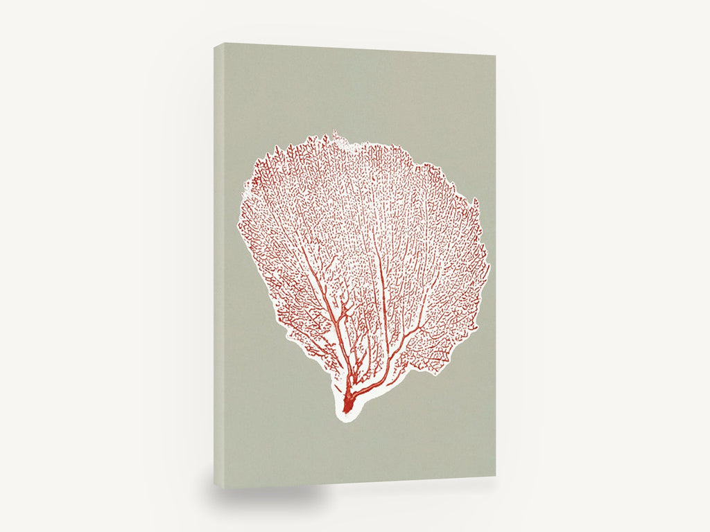 Red Sea Fan Silhouette, red sea fan coral illustration, coastal canvas wall art print ready to hang