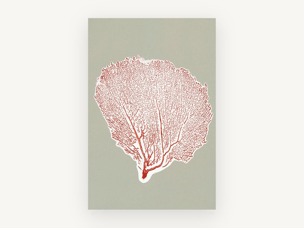 Red Sea Fan Silhouette, coastal canvas wall art print, front view