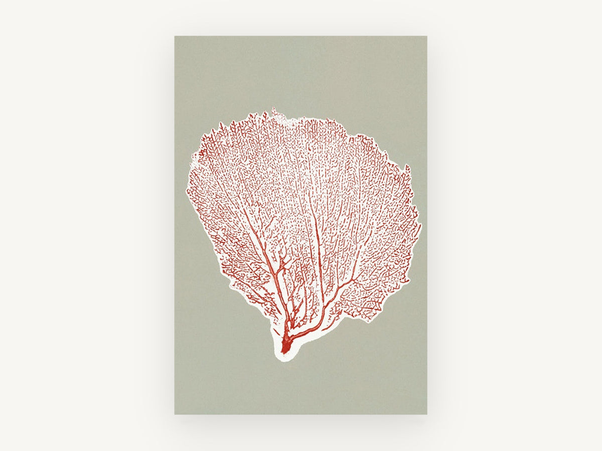 Red Sea Fan Silhouette, coastal canvas wall art print, front view