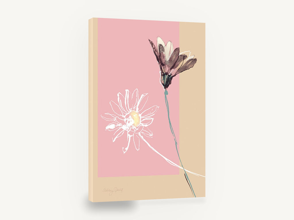 Two Daisies on Blush, pink and beige daisy ink floral, floral canvas wall art print ready to hang