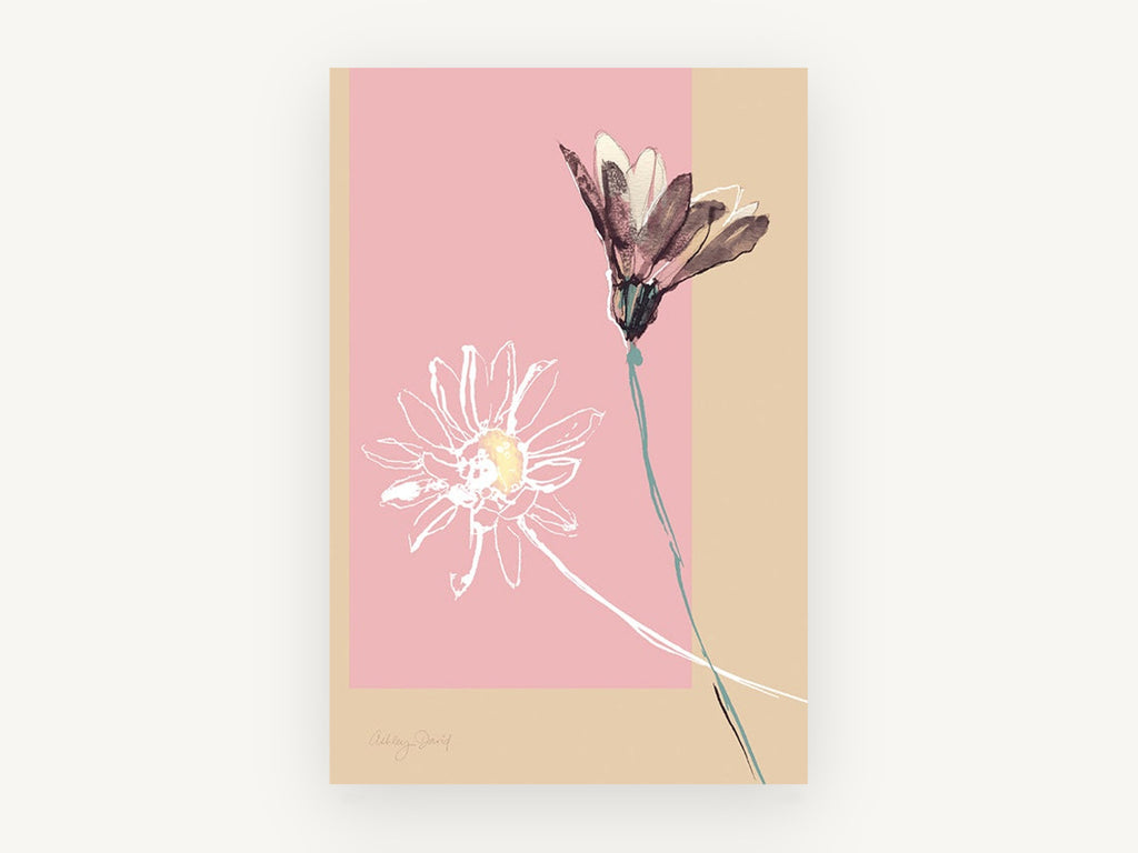 Two Daisies on Blush, floral canvas wall art print, front view