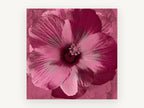 Magenta Hibiscus Bloom, floral canvas wall art print, front view