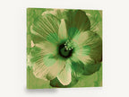 Green Hibiscus Bloom, green hibiscus flower contemporary square, floral canvas wall art print ready to hang