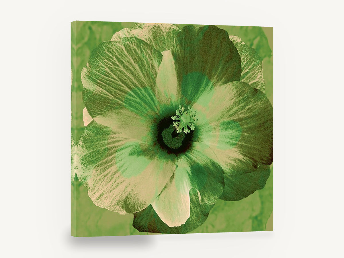 Green Hibiscus Bloom, green hibiscus flower contemporary square, floral canvas wall art print ready to hang