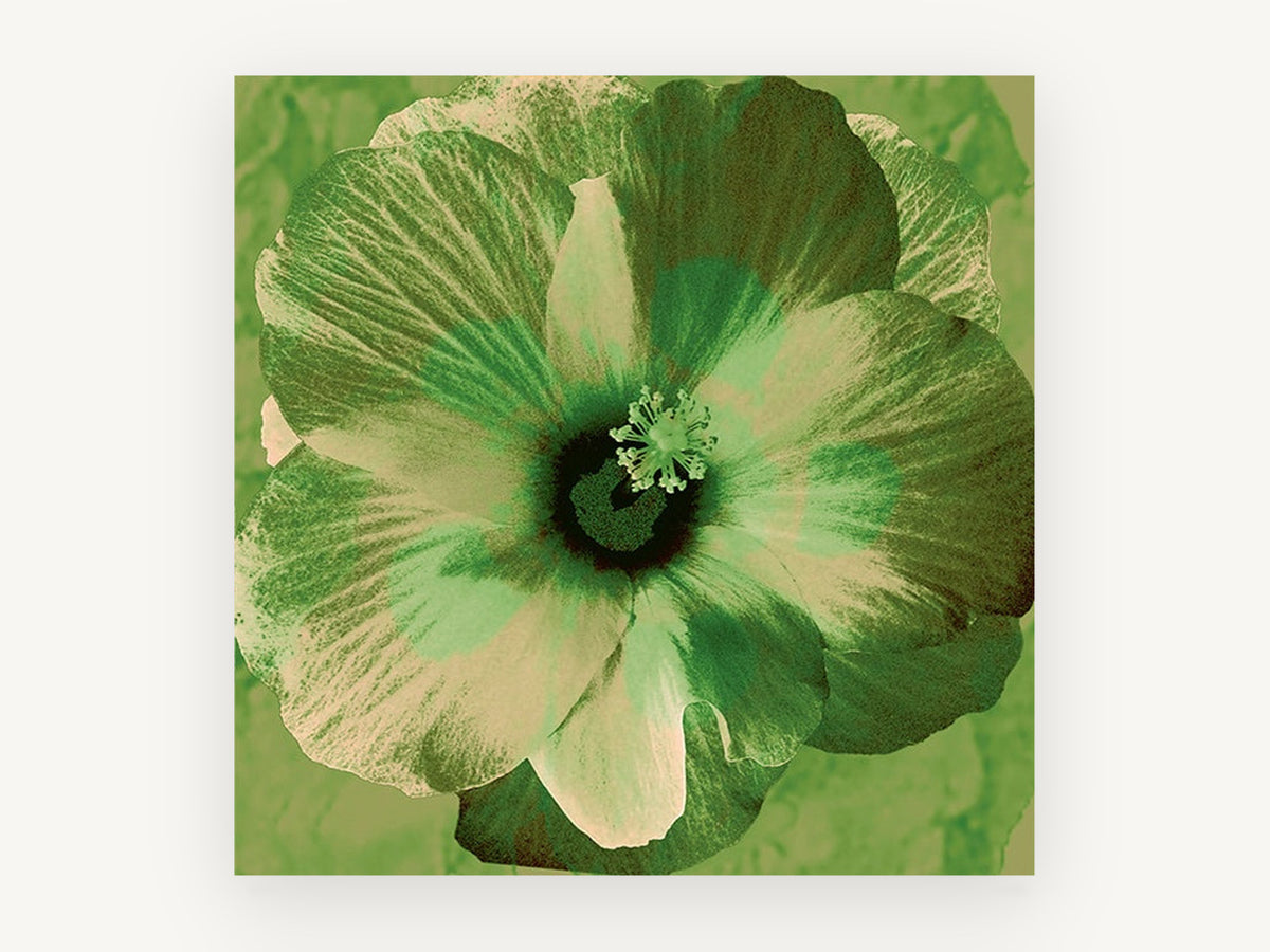 Green Hibiscus Bloom, floral canvas wall art print, front view