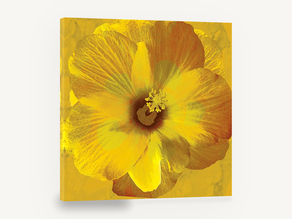 Golden Hibiscus Bloom, yellow hibiscus flower contemporary botanical, floral canvas wall art print ready to hang