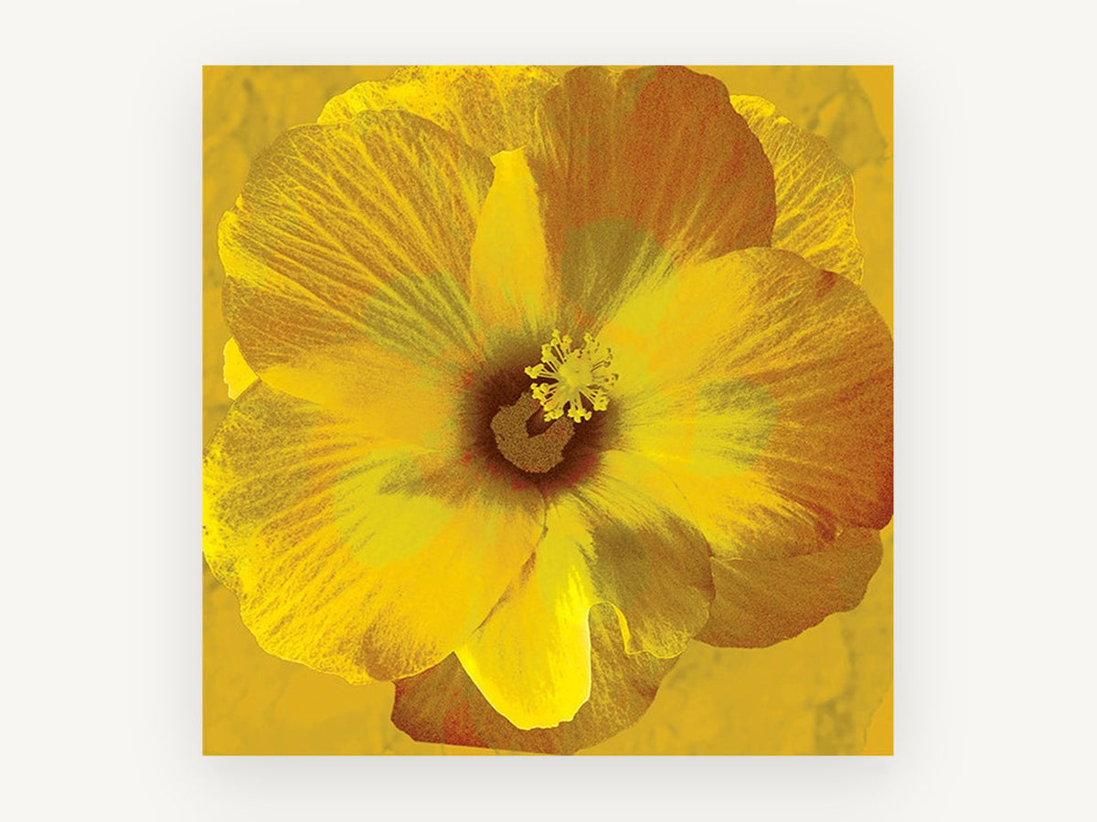 Golden Hibiscus Bloom, floral canvas wall art print, front view