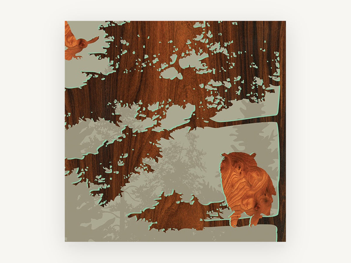 Owl in the Woodgrain, floral canvas wall art print, front view
