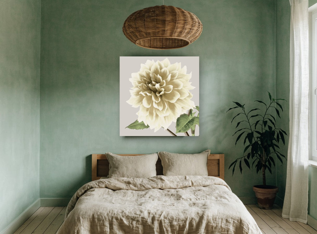 Cream Dahlia Bloom floral canvas print on the wall of a bedroom