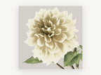 Cream Dahlia Bloom, floral canvas wall art print, front view