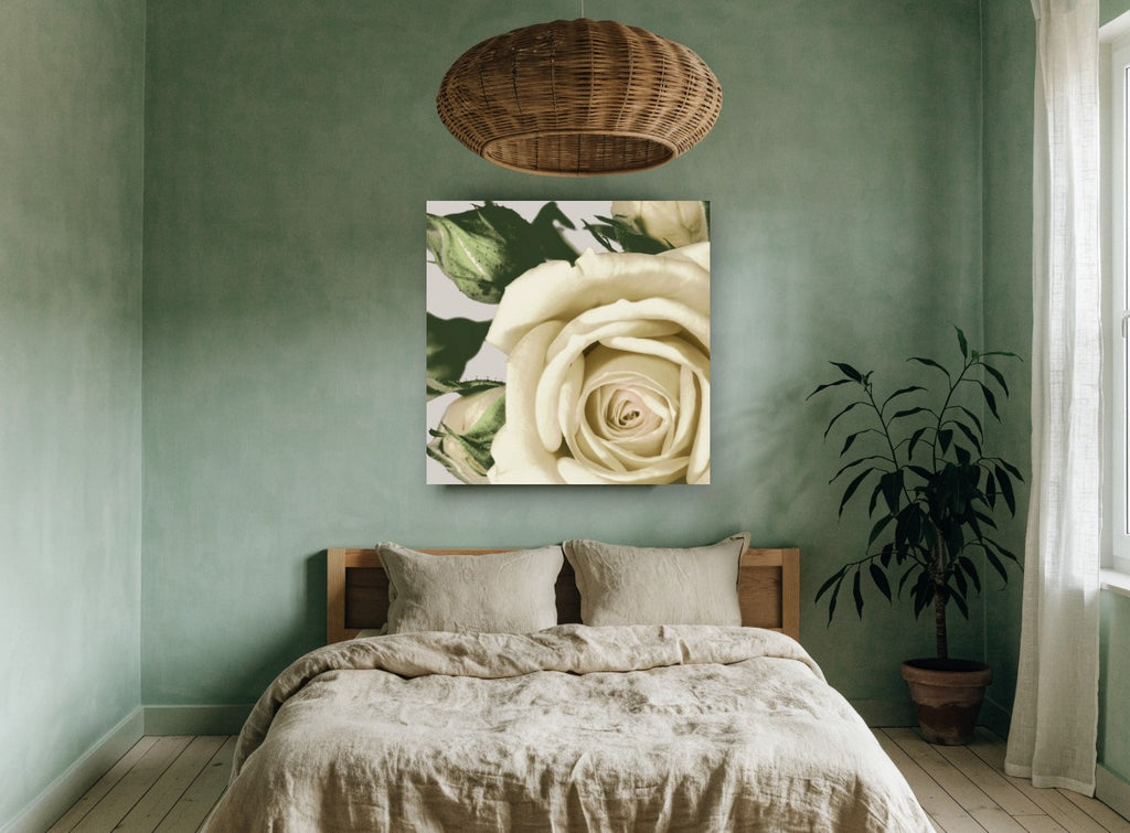 Cream Rose Unfurling floral canvas print on the wall of a bedroom