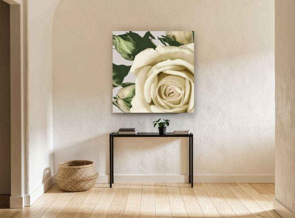 Cream Rose Unfurling floral canvas print on the wall of a hallway