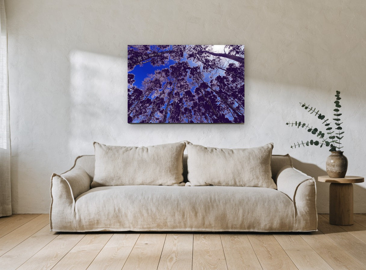 Violet Canopy Skyward landscape canvas print on the wall of a living room