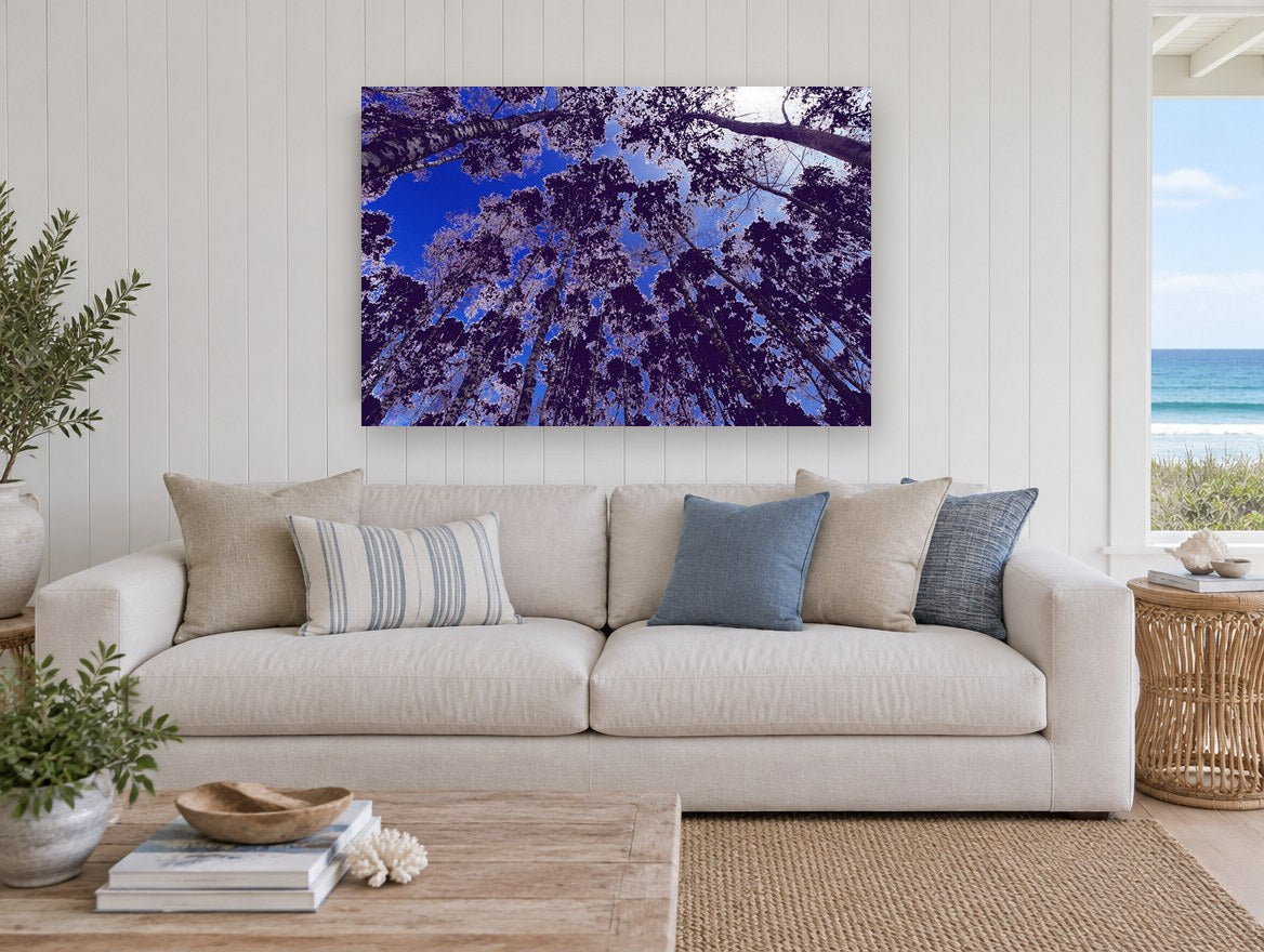 Violet Canopy Skyward landscape canvas print on the wall of a beach house living room