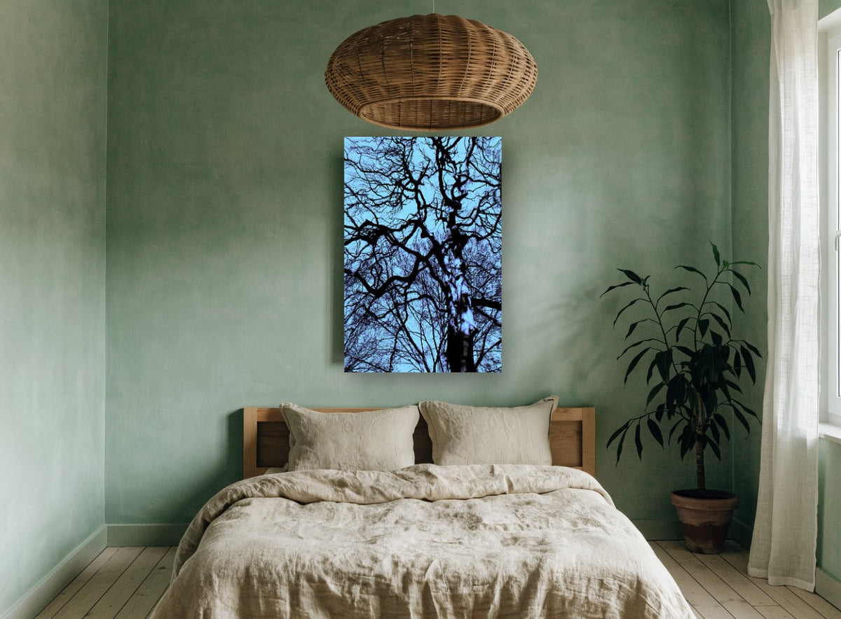 Tangled Winter Canopy landscape canvas print on the wall of a bedroom