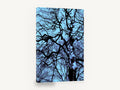 Tangled Winter Canopy, bare tree branches blue photograph, landscape canvas wall art print ready to hang
