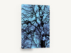 Tangled Winter Canopy, bare tree branches blue photograph, landscape canvas wall art print ready to hang
