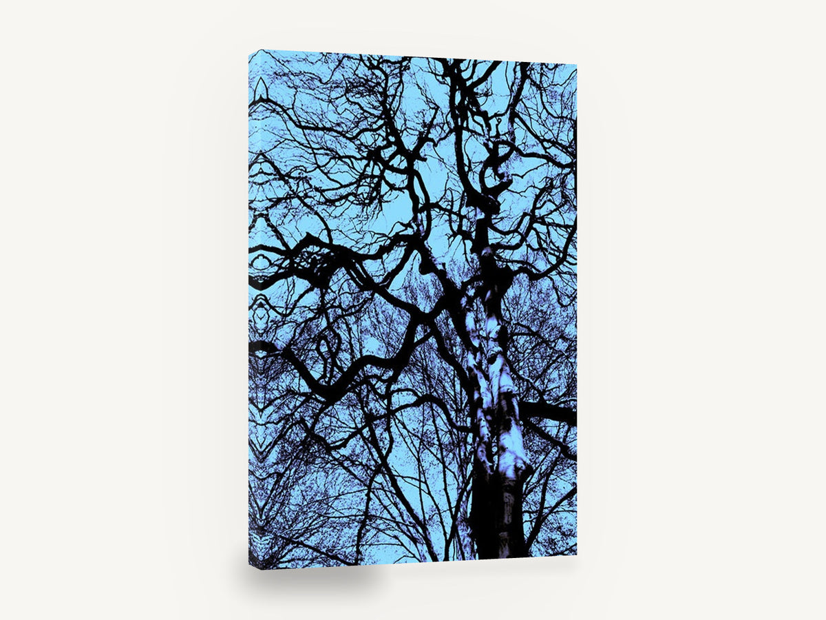 Tangled Winter Canopy, bare tree branches blue photograph, landscape canvas wall art print ready to hang