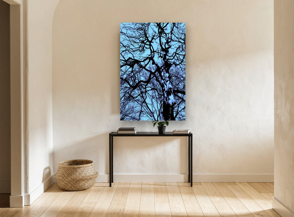 Tangled Winter Canopy landscape canvas print on the wall of a hallway