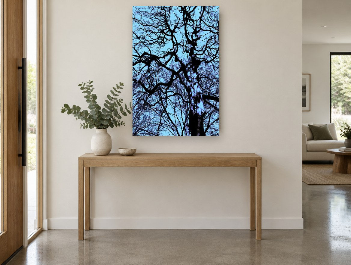 Tangled Winter Canopy landscape canvas print on the wall of a entry hall