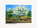 Orchard in White Blossom, spring orchard blossom tree painting, floral canvas wall art print ready to hang