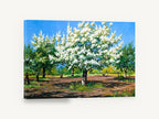 Orchard in White Blossom, spring orchard blossom tree painting, floral canvas wall art print ready to hang