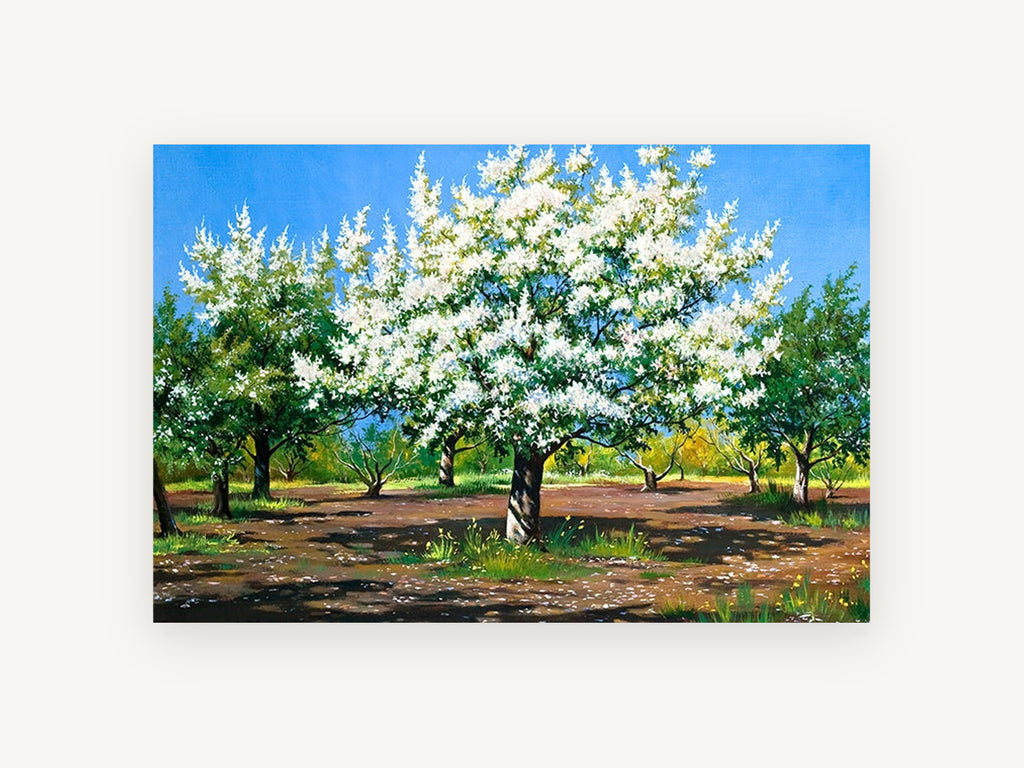 Orchard in White Blossom, floral canvas wall art print, front view