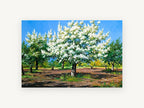 Orchard in White Blossom, floral canvas wall art print, front view