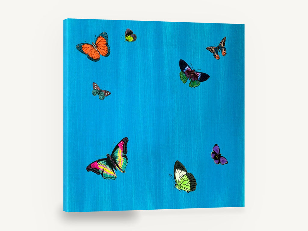 Butterflies on Cerulean, colourful butterflies illustration on blue, animal canvas wall art print ready to hang