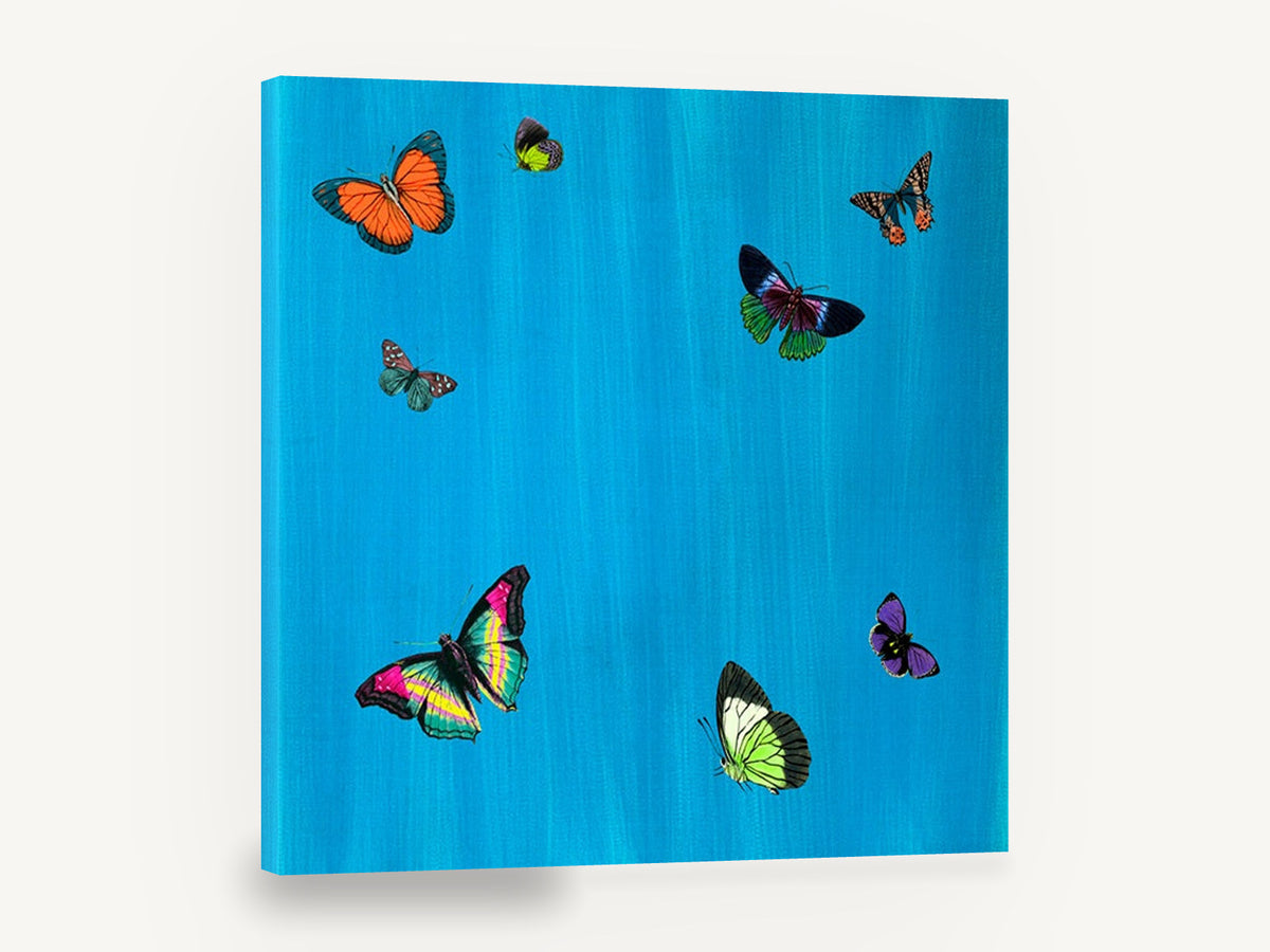 Butterflies on Cerulean, colourful butterflies illustration on blue, animal canvas wall art print ready to hang