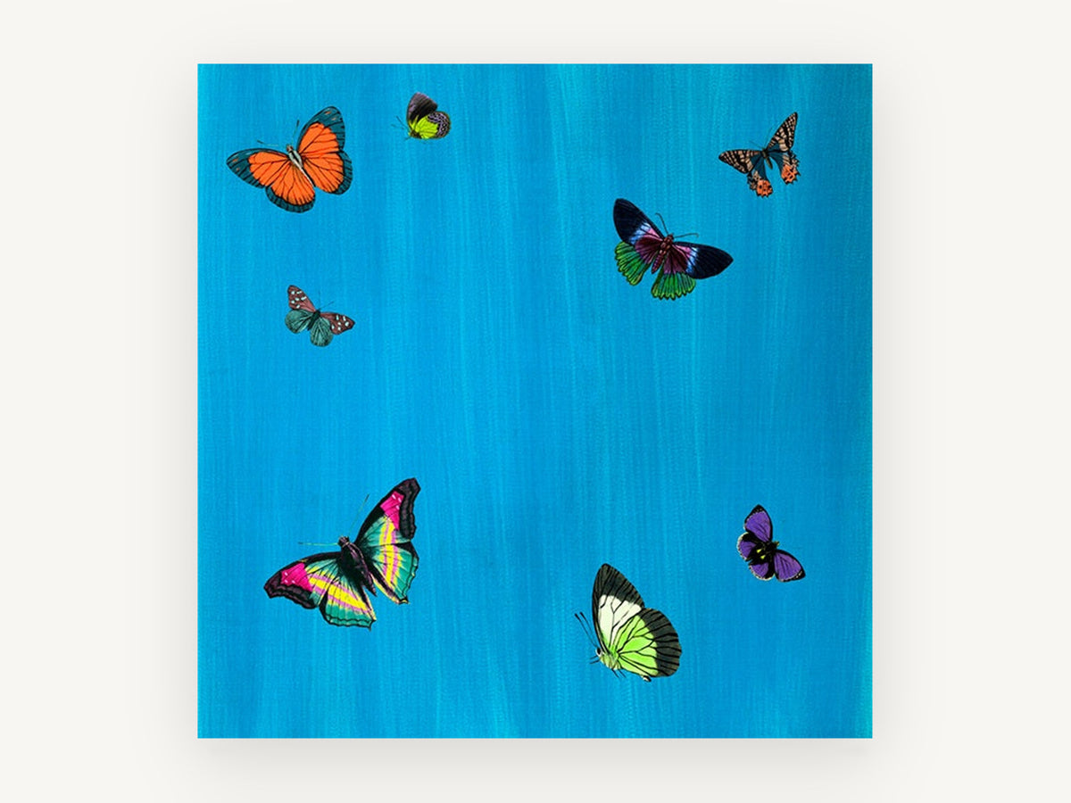 Butterflies on Cerulean, colourful butterflies illustration on blue, animal canvas wall art print, front view