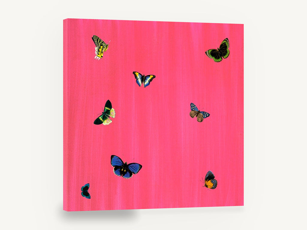 Butterflies on Hot Pink, butterflies on pink illustration, animal canvas wall art print ready to hang