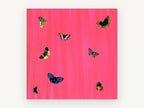 Butterflies on Hot Pink, butterflies on pink illustration, animal canvas wall art print, front view