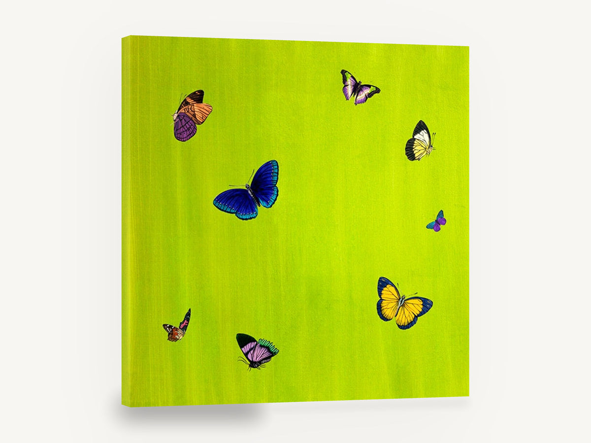 Butterflies on Lime, colourful butterflies on lime green, animal canvas wall art print ready to hang