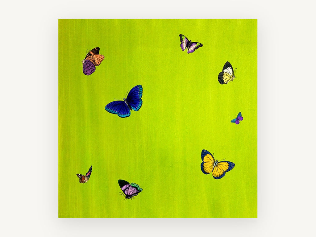 Butterflies on Lime, colourful butterflies on lime green, animal canvas wall art print, front view