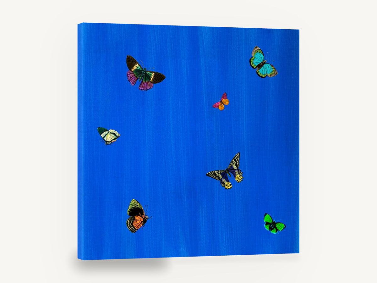 Butterflies on Cobalt, colourful butterflies on blue illustration, animal canvas wall art print ready to hang