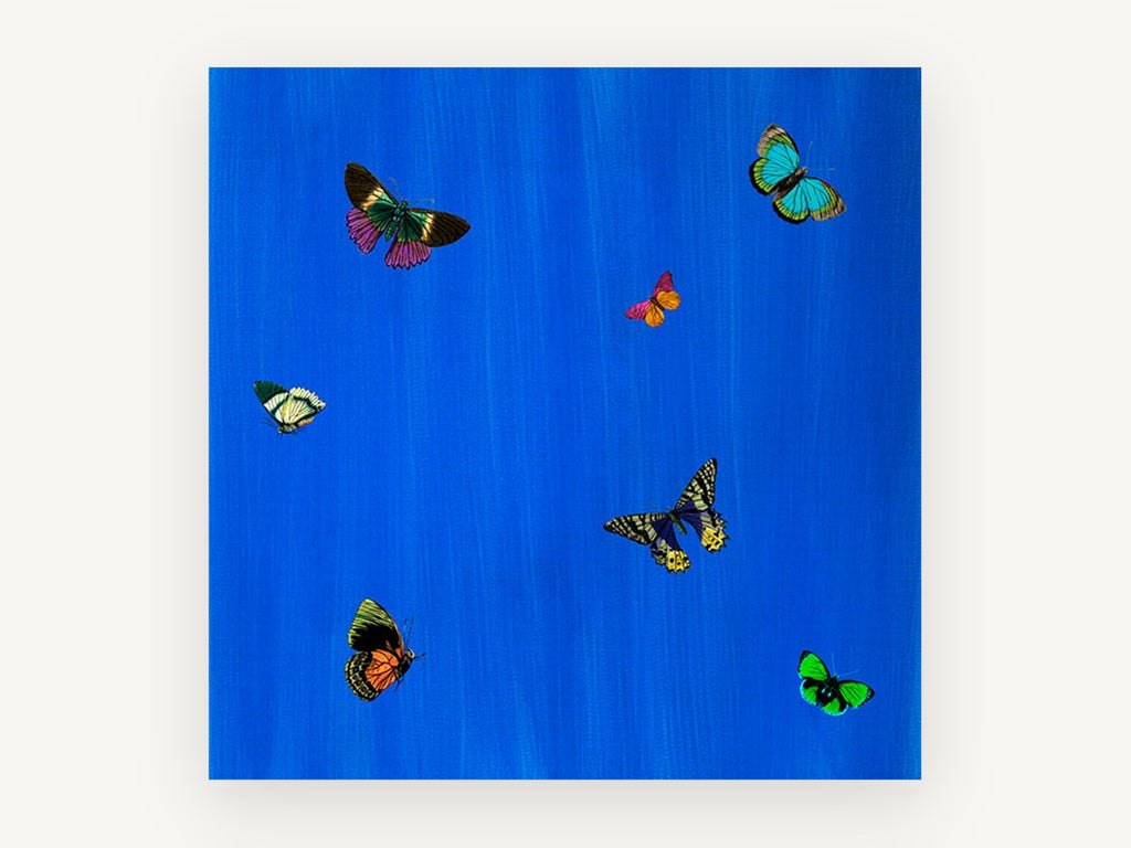 Butterflies on Cobalt, colourful butterflies on blue illustration, animal canvas wall art print, front view