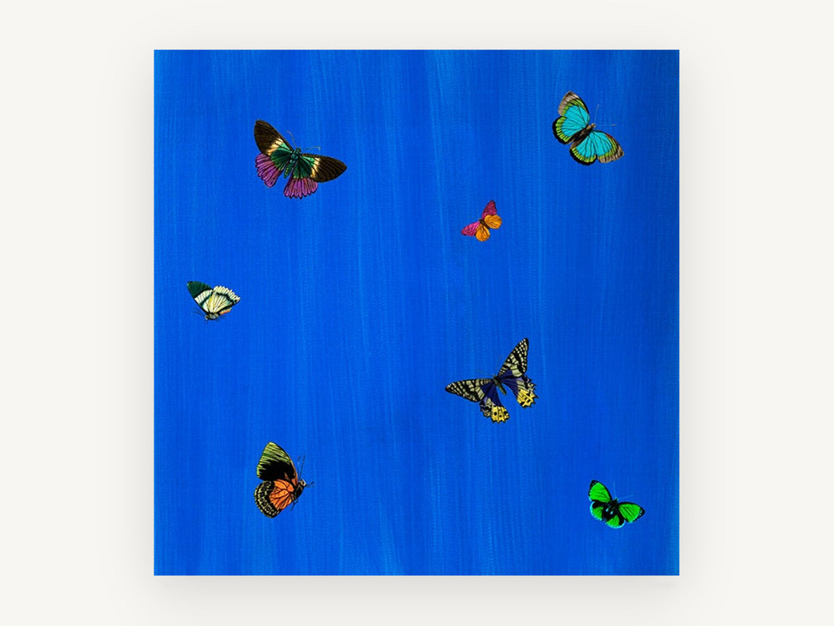Butterflies on Cobalt, colourful butterflies on blue illustration, animal canvas wall art print, front view