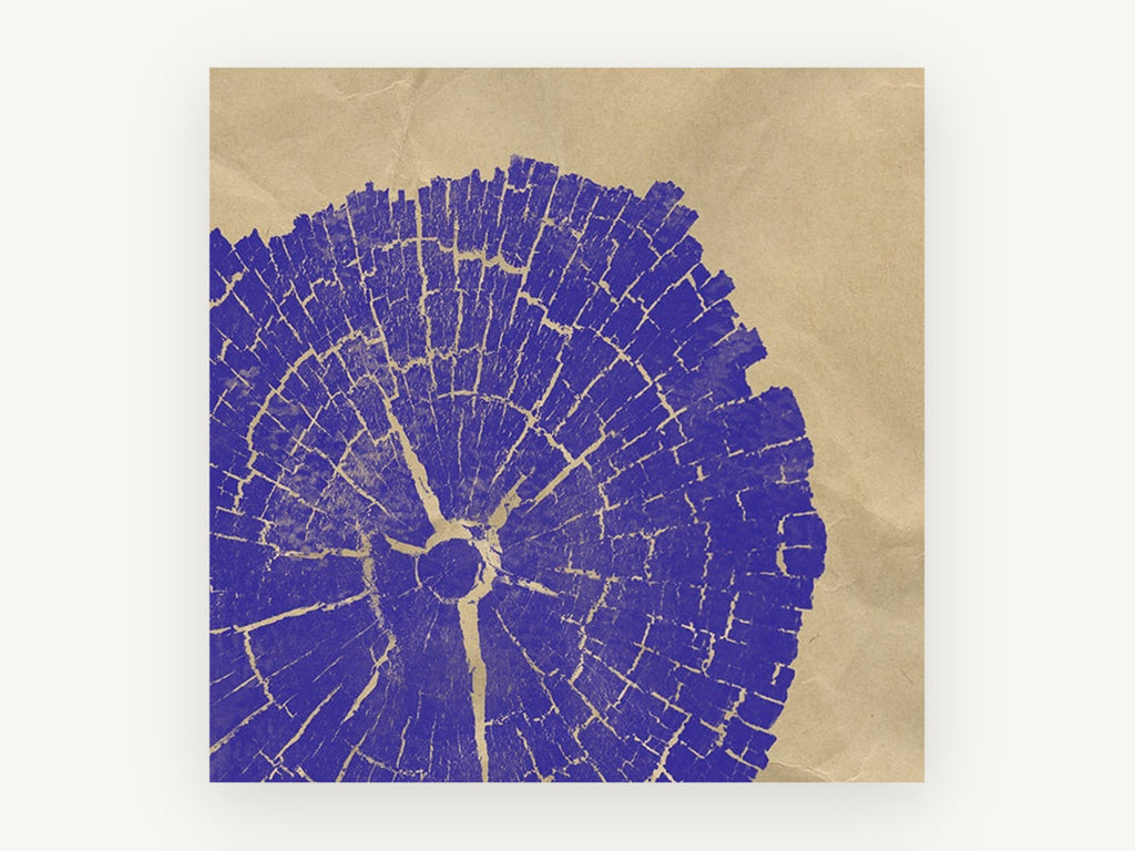 Violet Tree Rings, floral canvas wall art print, front view