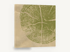 Olive Tree Ring Print, olive green tree ring wood, floral canvas wall art print ready to hang