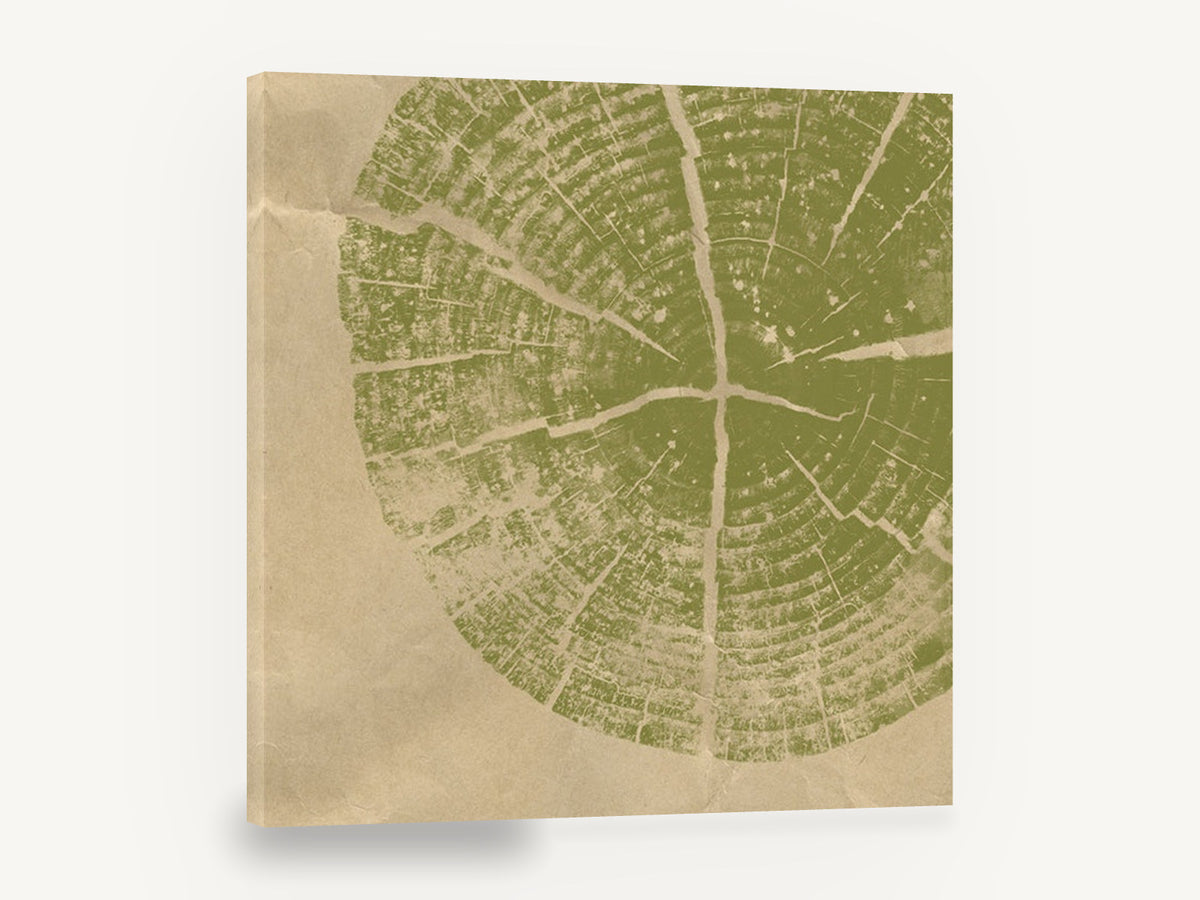 Olive Tree Ring Print, olive green tree ring wood, floral canvas wall art print ready to hang