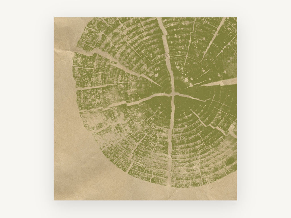 Olive Tree Ring Print, floral canvas wall art print, front view