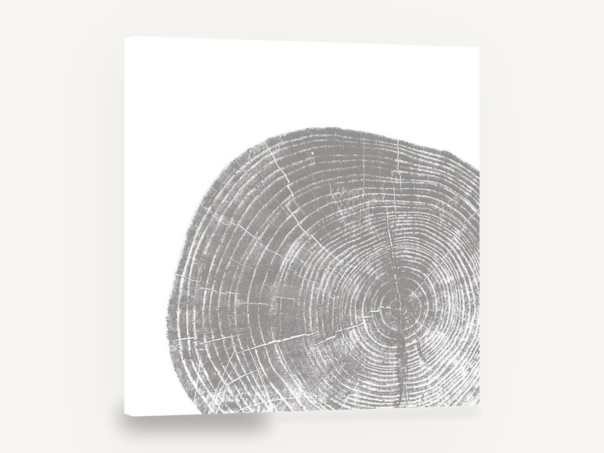 Grey Tree Ring Slice, grey tree ring cross section, floral canvas wall art print ready to hang