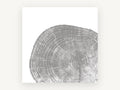 Grey Tree Ring Slice, floral canvas wall art print, front view