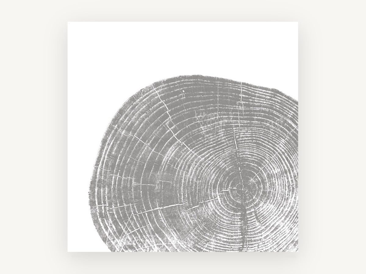 Grey Tree Ring Slice, floral canvas wall art print, front view